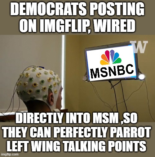 hard wired zombies | DEMOCRATS POSTING ON IMGFLIP, WIRED; DIRECTLY INTO MSM ,SO THEY CAN PERFECTLY PARROT LEFT WING TALKING POINTS | image tagged in stupid liberals,funny memes,political humor,political meme,politics lol | made w/ Imgflip meme maker