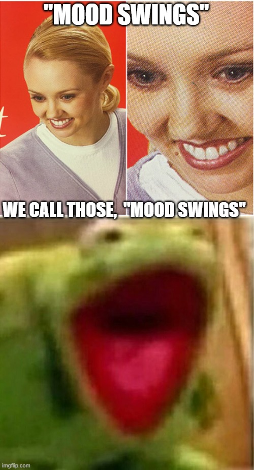 "MOOD SWINGS" WE CALL THOSE,  "MOOD SWINGS" | image tagged in the what blank,ahhhhhhhhhhhhh | made w/ Imgflip meme maker