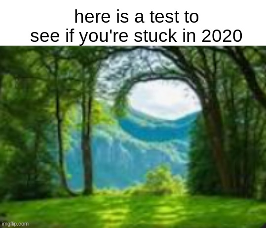 if you see a landscape your ok | here is a test to see if you're stuck in 2020 | made w/ Imgflip meme maker