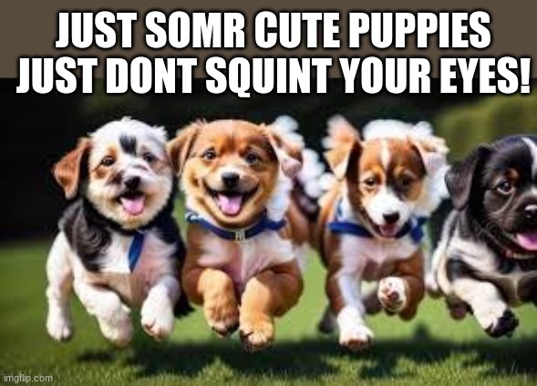 JUST SOMR CUTE PUPPIES JUST DONT SQUINT YOUR EYES! | made w/ Imgflip meme maker