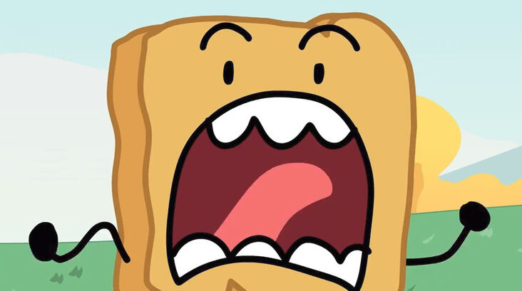 bfdi woody scream Blank Meme Template