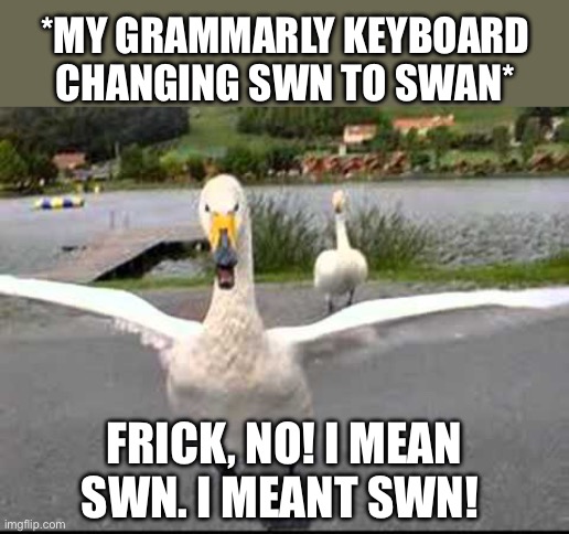 My Grammarly keyboard changing SWN to Swan | *MY GRAMMARLY KEYBOARD CHANGING SWN TO SWAN*; FRICK, NO! I MEAN SWN. I MEANT SWN! | image tagged in swan attack,swan,grammarly,lgbtq,mods,imgflip mods | made w/ Imgflip meme maker