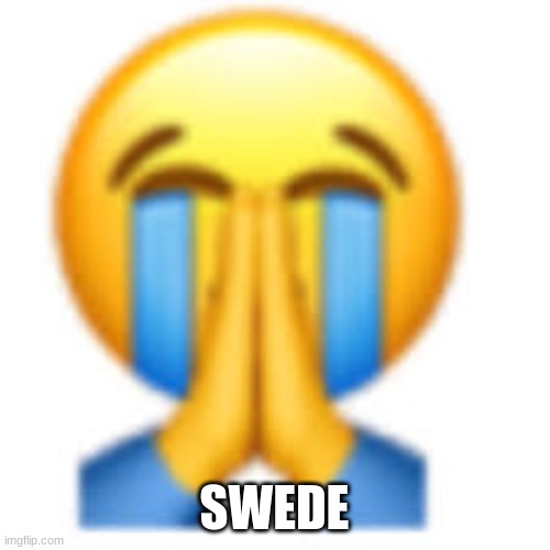 SWEDE | image tagged in that was not it bro | made w/ Imgflip meme maker