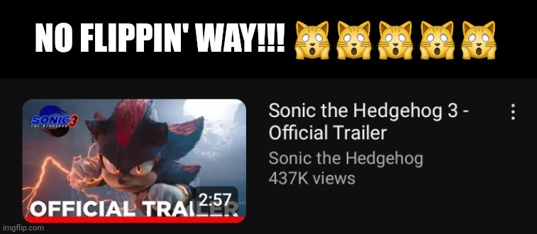 Trust me, my Sonic-fan friend is probably 100 times more excited than I am! We plan to go see it in December! | NO FLIPPIN' WAY!!! 🙀🙀🙀🙀🙀 | made w/ Imgflip meme maker