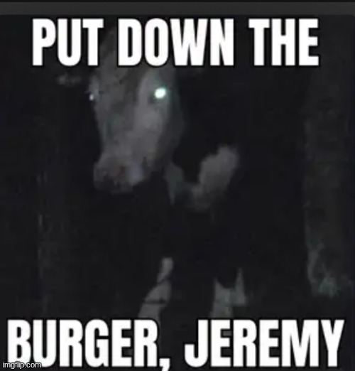 RUN JEREMY! | image tagged in cow,burger | made w/ Imgflip meme maker