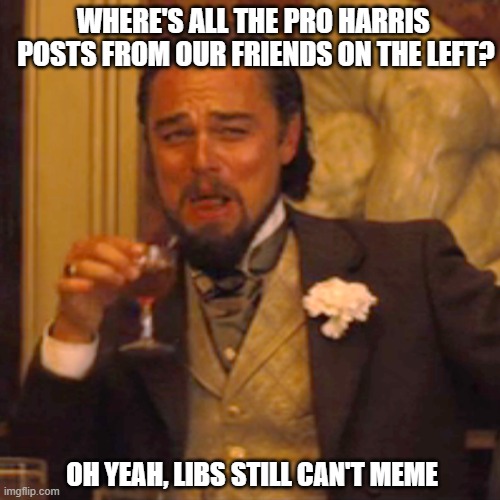 Dimwits are gonna dimwit | WHERE'S ALL THE PRO HARRIS 
POSTS FROM OUR FRIENDS ON THE LEFT? OH YEAH, LIBS STILL CAN'T MEME | image tagged in democrats,libs,woke,kamala harris,dimwits,leftists | made w/ Imgflip meme maker