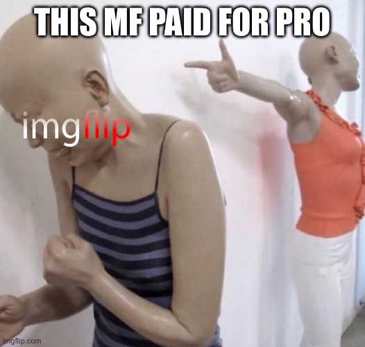 Mannequin shaming | THIS MF PAID FOR PRO | image tagged in mannequin shaming | made w/ Imgflip meme maker