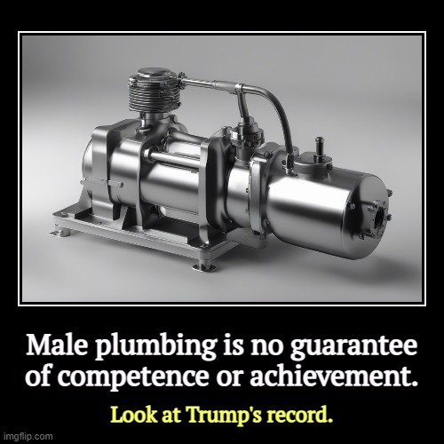 That should not be the part of the body you think with. | Male plumbing is no guarantee of competence or achievement. | Look at Trump's record. | image tagged in funny,demotivationals,male,plumbing,incompetence,achievement | made w/ Imgflip demotivational maker