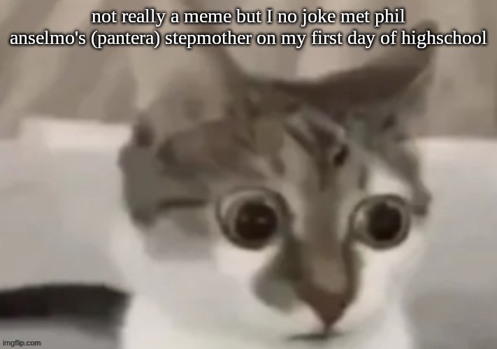 bombastic side eye cat | not really a meme but I no joke met phil anselmo's (pantera) stepmother on my first day of highschool | image tagged in bombastic side eye cat | made w/ Imgflip meme maker