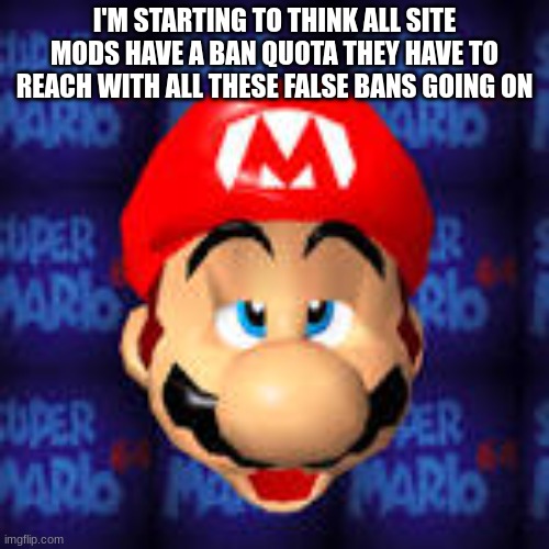 I'M STARTING TO THINK ALL SITE MODS HAVE A BAN QUOTA THEY HAVE TO REACH WITH ALL THESE FALSE BANS GOING ON | made w/ Imgflip meme maker