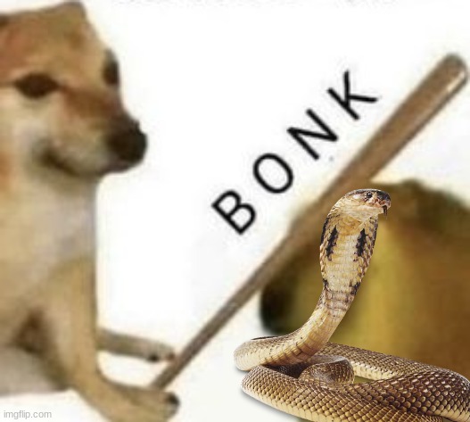 Bonk | image tagged in bonk | made w/ Imgflip meme maker