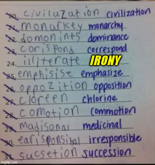 Ironic Bad Spelling | IRONY | image tagged in irony,spelling,spelling error,what i learned in boating school is,funny test answers | made w/ Imgflip meme maker