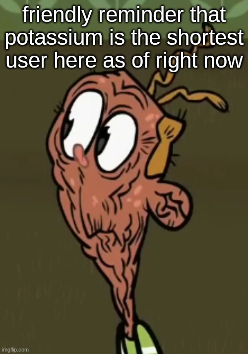two shoes wild | friendly reminder that potassium is the shortest user here as of right now | image tagged in two shoes wild | made w/ Imgflip meme maker