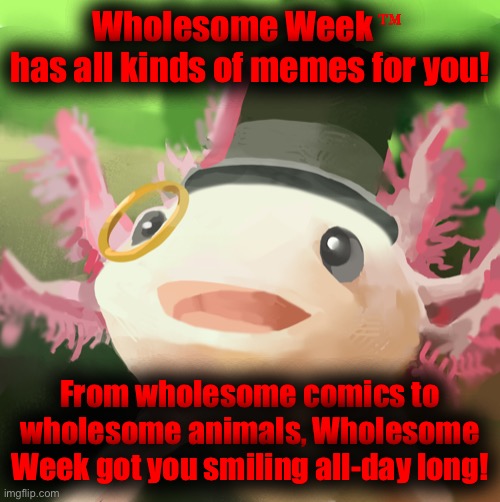 The Wholesome Week continues, and the wholesomeness too! | Wholesome Week
has all kinds of memes for you! From wholesome comics to wholesome animals, Wholesome Week got you smiling all-day long! | image tagged in wholesome week | made w/ Imgflip meme maker