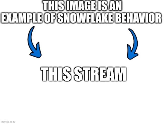 This image is an example of snowflake behavior | THIS STREAM | image tagged in this image is an example of snowflake behavior | made w/ Imgflip meme maker