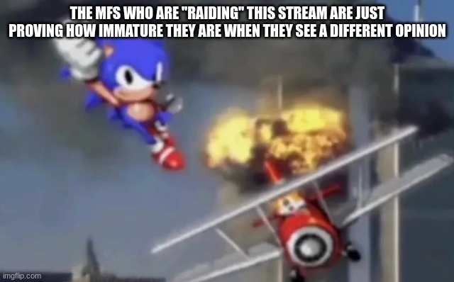 srs vro just grow up | THE MFS WHO ARE "RAIDING" THIS STREAM ARE JUST PROVING HOW IMMATURE THEY ARE WHEN THEY SEE A DIFFERENT OPINION | image tagged in sonic the terrorist | made w/ Imgflip meme maker