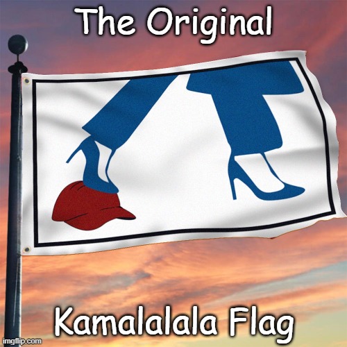 Kamala Flag | The Original Kamalalala Flag | image tagged in kamala flag | made w/ Imgflip meme maker