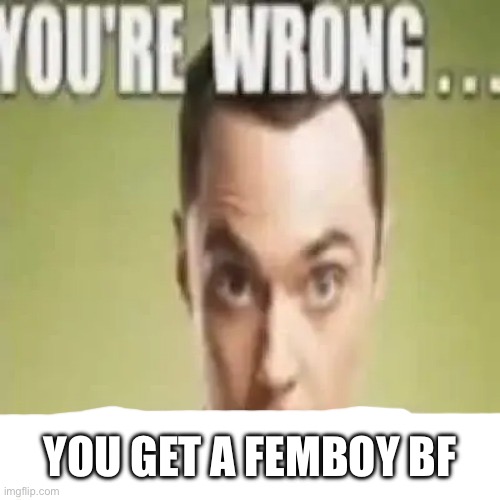 youre wrong sulfuric acid | YOU GET A FEMBOY BF | image tagged in youre wrong sulfuric acid | made w/ Imgflip meme maker