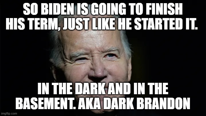 Still in the Basement | SO BIDEN IS GOING TO FINISH HIS TERM, JUST LIKE HE STARTED IT. IN THE DARK AND IN THE BASEMENT. AKA DARK BRANDON | image tagged in still in the basement | made w/ Imgflip meme maker