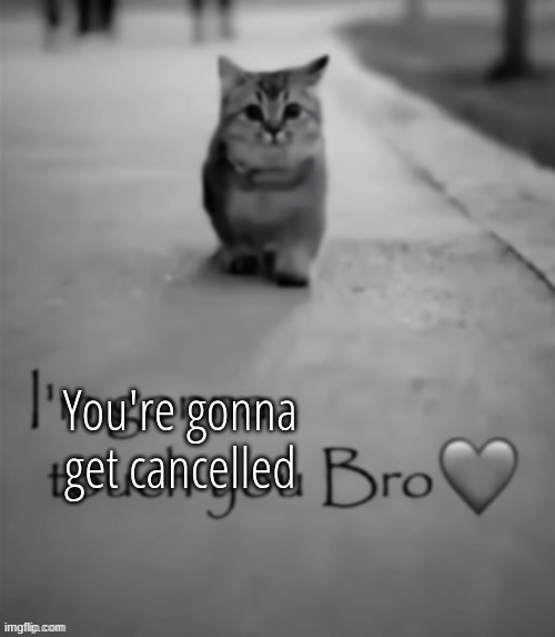 I'm gonna touch you bro | You're gonna get cancelled | image tagged in i'm gonna touch you bro | made w/ Imgflip meme maker