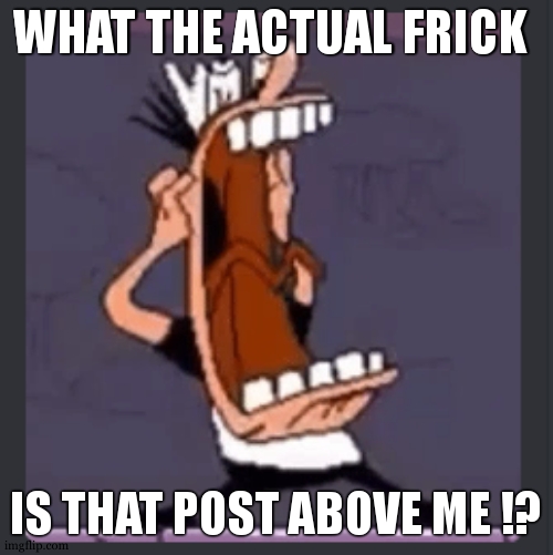 Peppino screaming at post above | WHAT THE ACTUAL FRICK; IS THAT POST ABOVE ME !? | image tagged in peppino screaming at post above | made w/ Imgflip meme maker