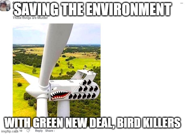 Bird Killer Hypocrites | image tagged in bird killer hypocrites | made w/ Imgflip meme maker