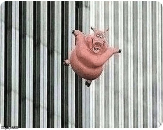 He's coming for the meme below... | image tagged in pig jumping off | made w/ Imgflip meme maker