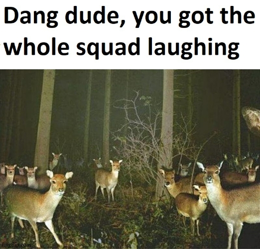Dang dude you got the whole squad laughing | image tagged in dang dude you got the whole squad laughing | made w/ Imgflip meme maker