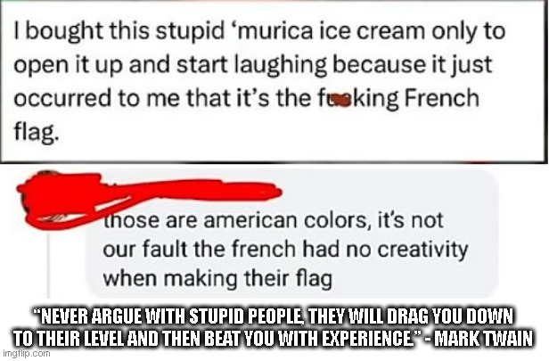 “NEVER ARGUE WITH STUPID PEOPLE, THEY WILL DRAG YOU DOWN TO THEIR LEVEL AND THEN BEAT YOU WITH EXPERIENCE.” - MARK TWAIN | image tagged in stupidity,american,ice cream,french,french flag,mark twain | made w/ Imgflip meme maker