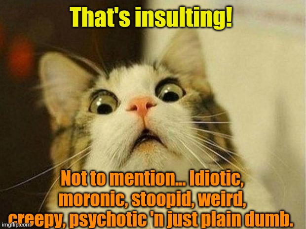 Scared Cat Meme | That's insulting! Not to mention... Idiotic, moronic, stoopid, weird, creepy, psychotic 'n just plain dumb. | image tagged in memes,scared cat | made w/ Imgflip meme maker