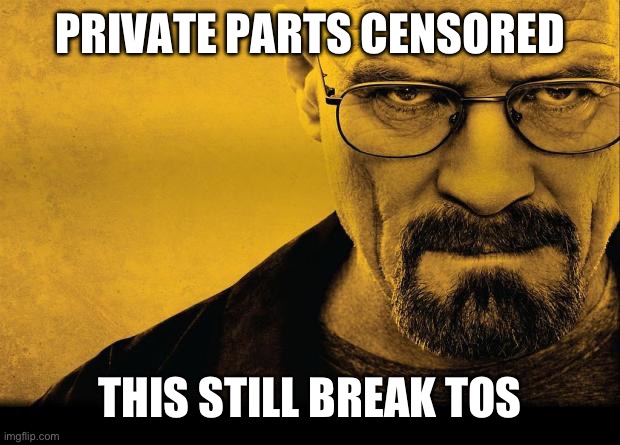 Breaking bad | PRIVATE PARTS CENSORED THIS STILL BREAK TOS | image tagged in breaking bad | made w/ Imgflip meme maker