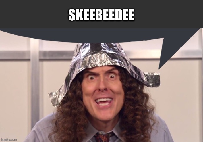 Tinfoil hat guy says | SKEEBEEDEE | image tagged in tinfoil hat guy says | made w/ Imgflip meme maker