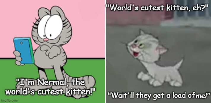 Nermal vs. Shorty | "World's cutest kitten, eh?"; "I'm Nermal, the world's cutest kitten!"; "Wait'll they get a load of; me!" | image tagged in nermal,shorty,garfield,bad luck blackie,cartoon kittens | made w/ Imgflip meme maker