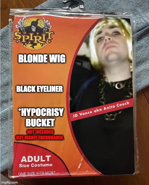 JD Vance Halloween Costume: | BLONDE WIG; BLACK EYELINER; *HYPOCRISY BUCKET; NOT INCLUDED BUT HIGHLY ENCOURAGED. | image tagged in jd vance aka anita couch costume | made w/ Imgflip meme maker