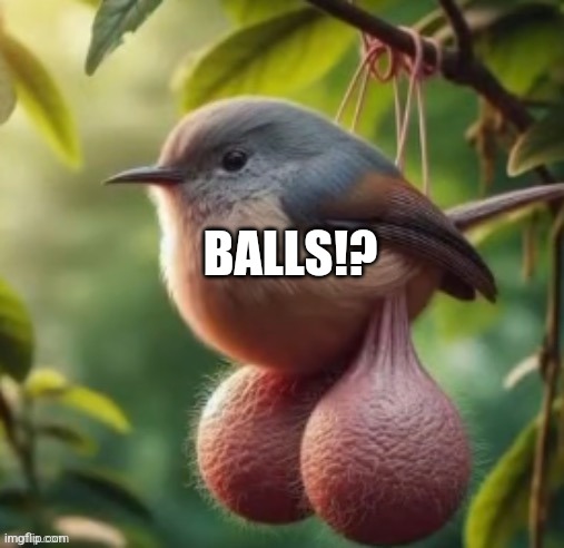 balls | BALLS!? | made w/ Imgflip meme maker