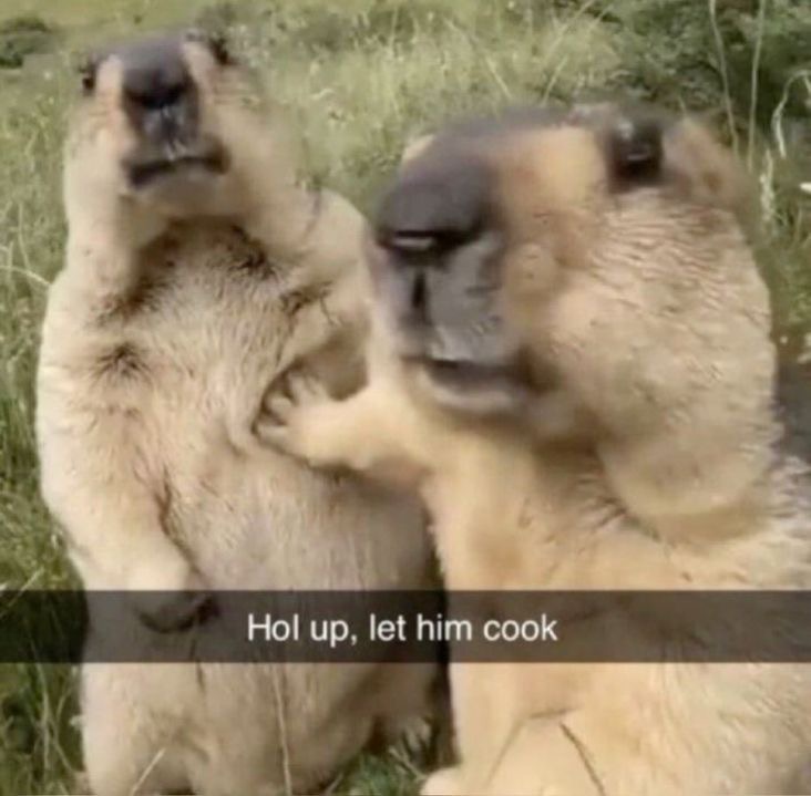 Let him cook Blank Meme Template