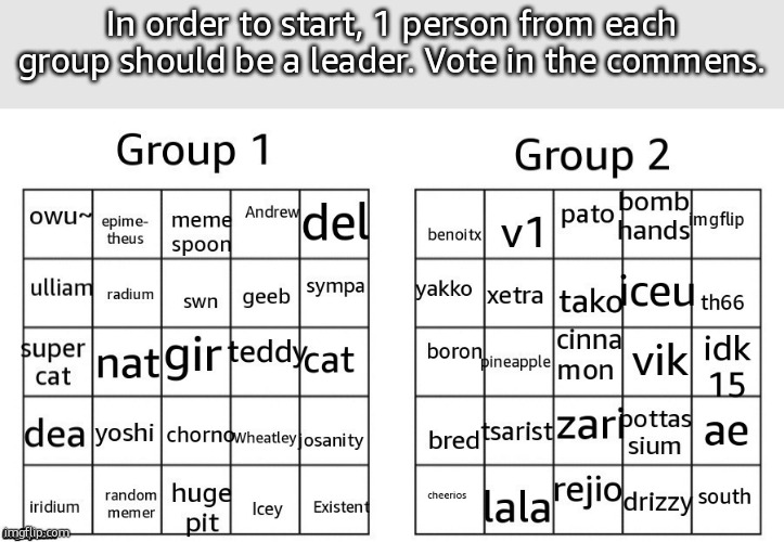 In order to start, 1 person from each group should be a leader. Vote in the commens. | made w/ Imgflip meme maker
