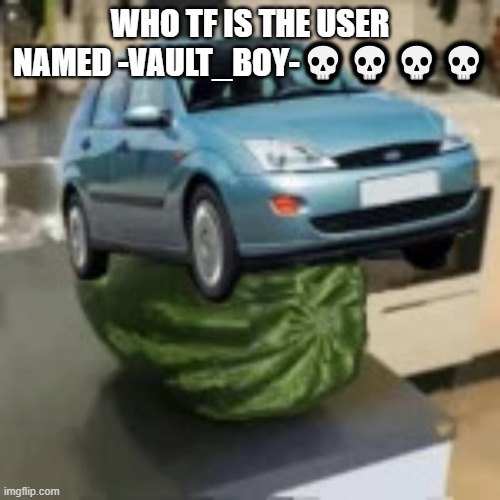 FocusMelon | WHO TF IS THE USER NAMED -VAULT_BOY-💀💀💀💀 | image tagged in focusmelon | made w/ Imgflip meme maker