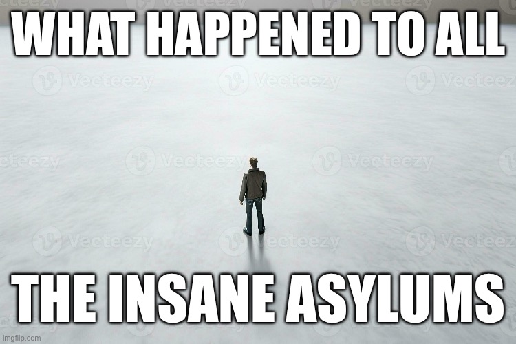 What happened to all the insane asylums Blank Meme Template