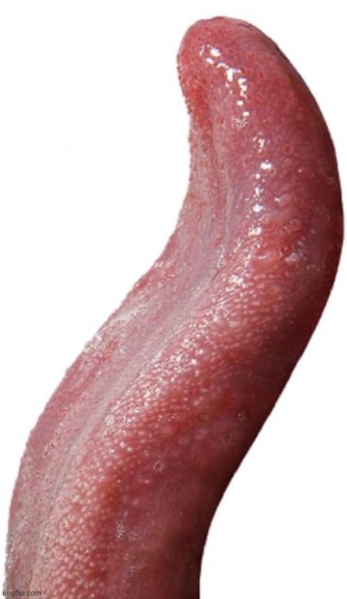 Long Tongue | image tagged in long tongue | made w/ Imgflip meme maker