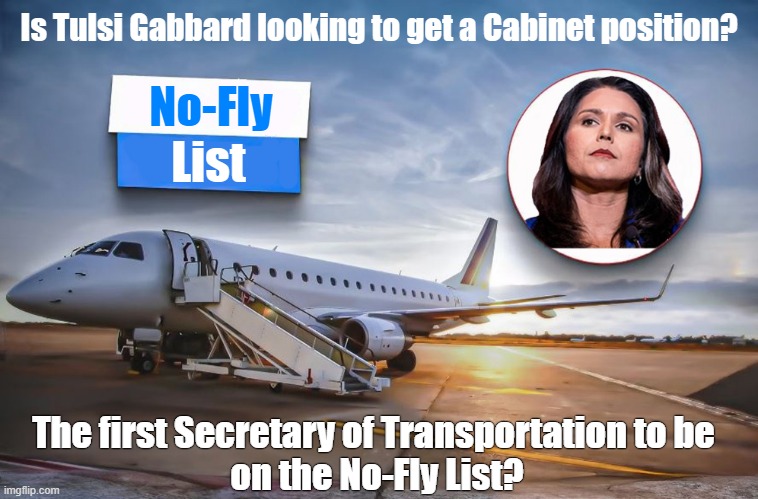 Tulsi Gabbard endorses Donald Trump! Another traitor looking to get a Trump Cabinet position? | Is Tulsi Gabbard looking to get a Cabinet position? No-Fly; List; The first Secretary of Transportation to be 
on the No-Fly List? | image tagged in tulsi gabbard,donald trump,no fly list,transportation,weird,traitor | made w/ Imgflip meme maker