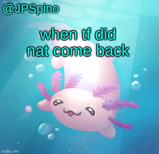 JPSpino's axolotl temp updated | when tf did nat come back | image tagged in jpspino's axolotl temp updated | made w/ Imgflip meme maker