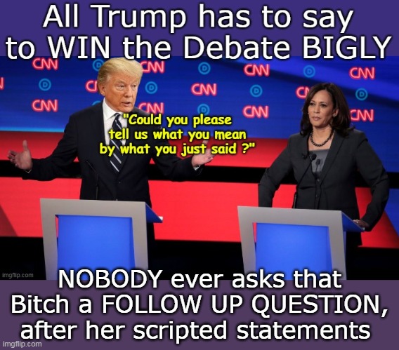 NOBODY ever asks that Bitch a FOLLOW UP QUESTION, after her scripted statements | made w/ Imgflip meme maker