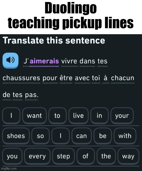 duolingo | Duolingo teaching pickup lines | image tagged in duolingo,shoes | made w/ Imgflip meme maker