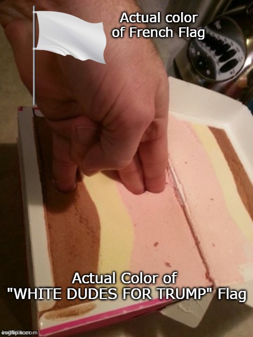 Actual color of French Flag Actual Color of 
"WHITE DUDES FOR TRUMP" Flag | made w/ Imgflip meme maker