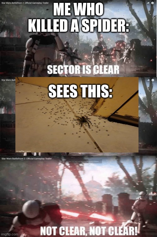 Sector not clear | ME WHO KILLED A SPIDER: SEES THIS: | image tagged in sector not clear | made w/ Imgflip meme maker