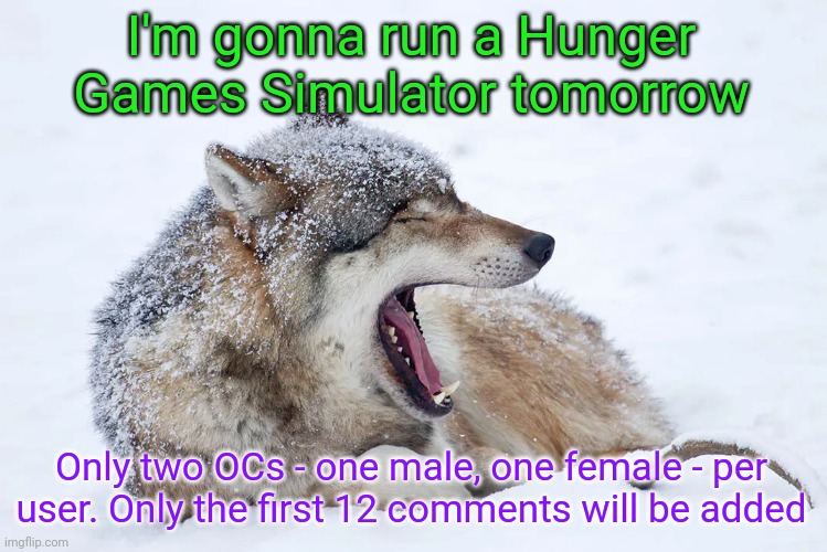 Yawning wolf | I'm gonna run a Hunger Games Simulator tomorrow; Only two OCs - one male, one female - per user. Only the first 12 comments will be added | image tagged in yawning wolf | made w/ Imgflip meme maker