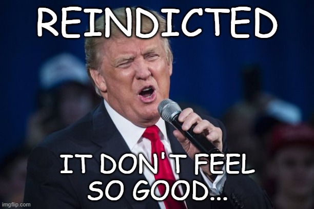 Tots and pears...or, in this case, Peaches and Herb | REINDICTED; IT DON'T FEEL
SO GOOD... | image tagged in donald trump,reindicted,election interference | made w/ Imgflip meme maker