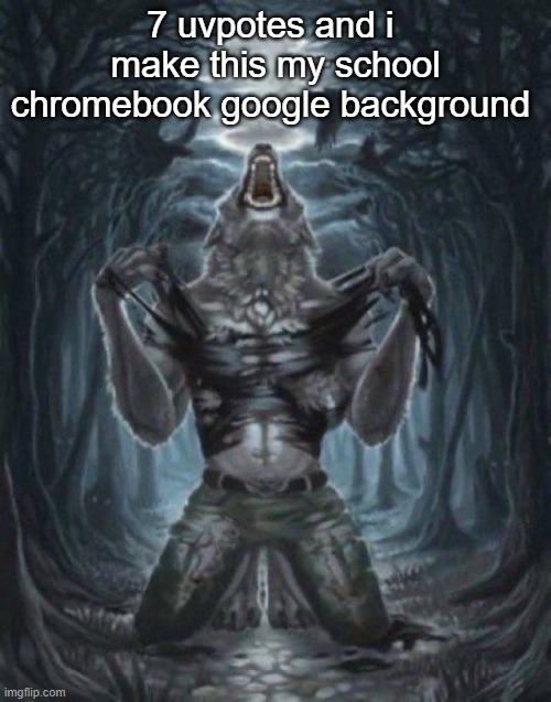 alpha wolf | 7 uvpotes and i  make this my school chromebook google background | image tagged in alpha wolf | made w/ Imgflip meme maker