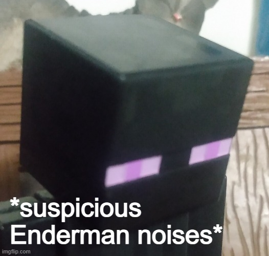 Enderman stare | *suspicious Enderman noises* | image tagged in enderman stare | made w/ Imgflip meme maker